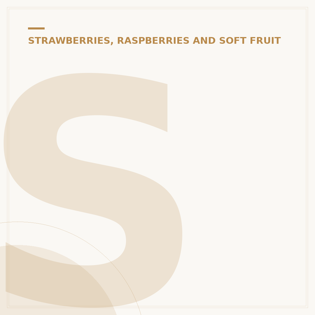 Strawberry Companion Plants for Healthier Fruit