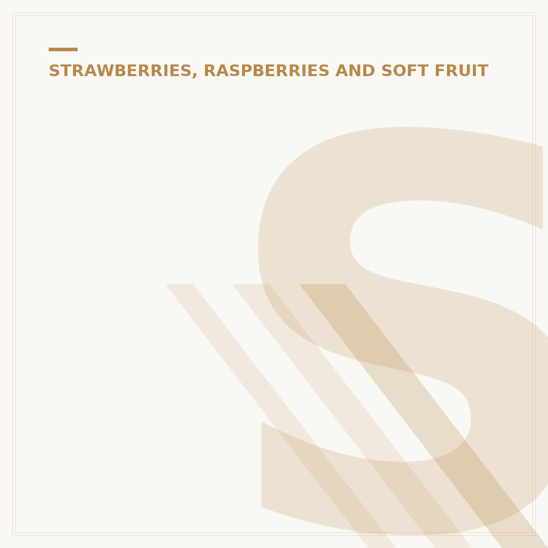 Strawberry Plant Leaves Turning Brown: Causes & Solutions