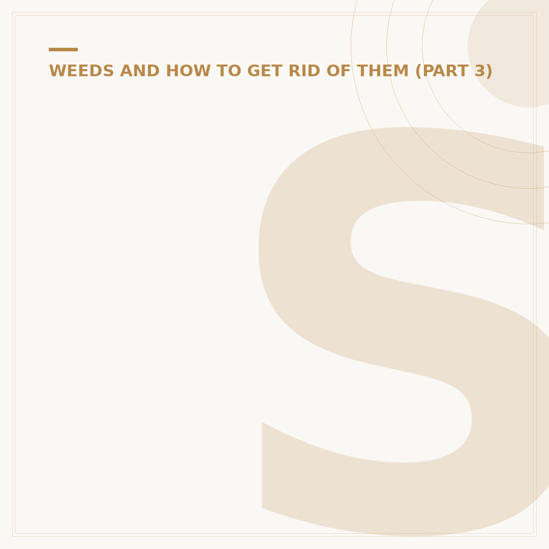 Stung by Stinging Nettles: What To Do & How To Treat
