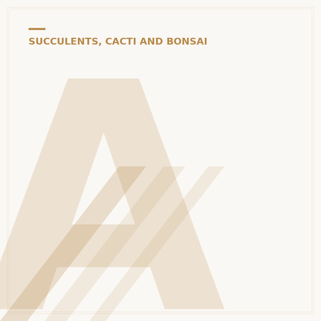 Are All Succulents Cacti? The Botanical Distinction