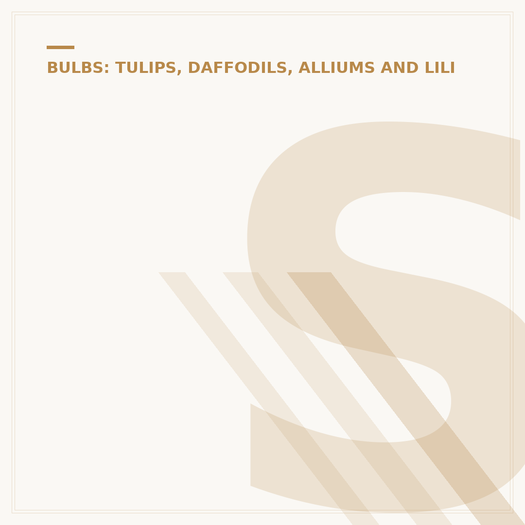 Summer Bulbs