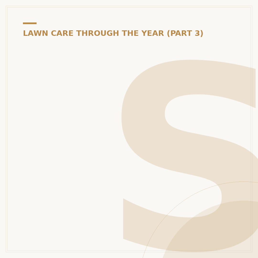 Synthetic Lawn Installation: What You Need to Know