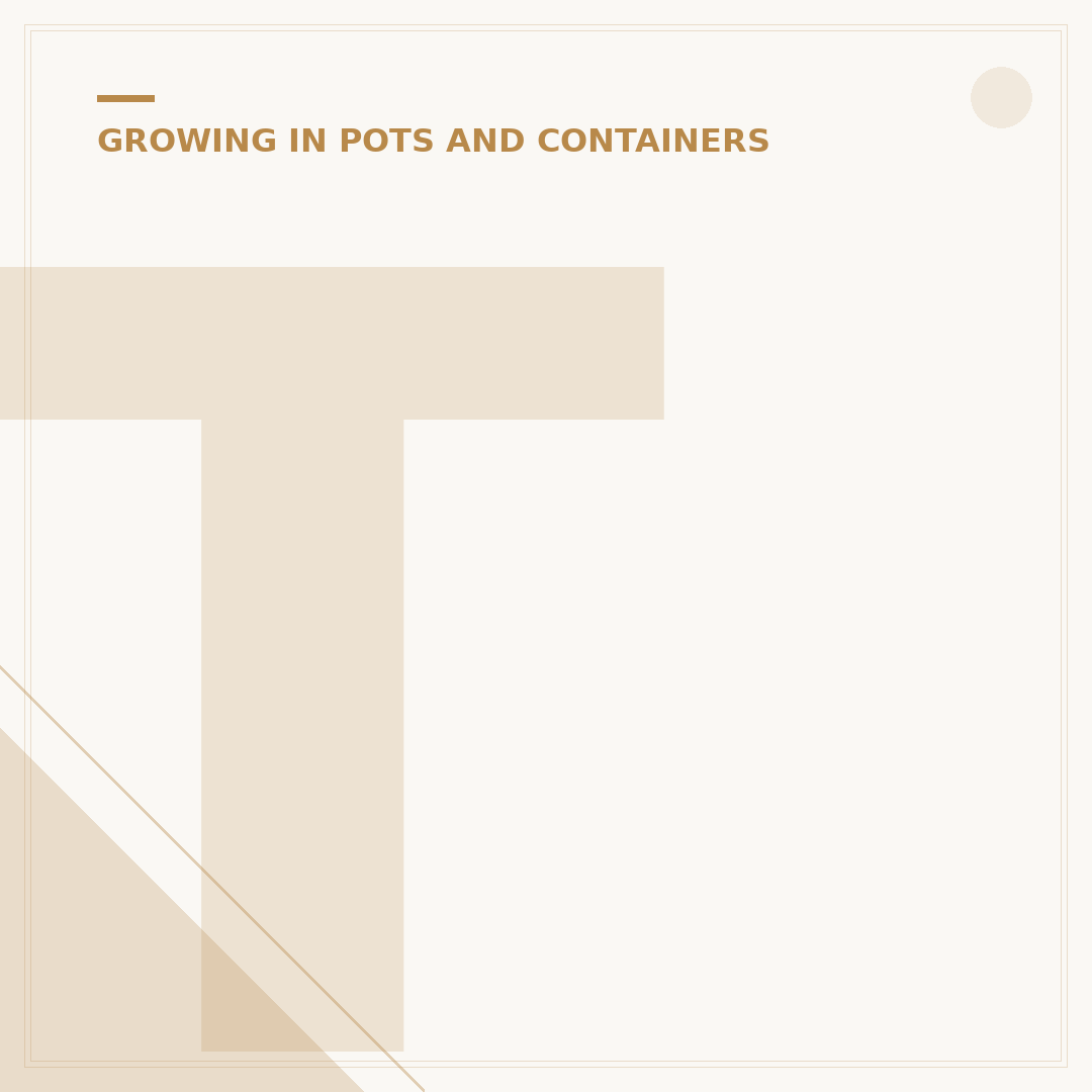 Tall Green Plants for Pots: Elevate Your Outdoor Space