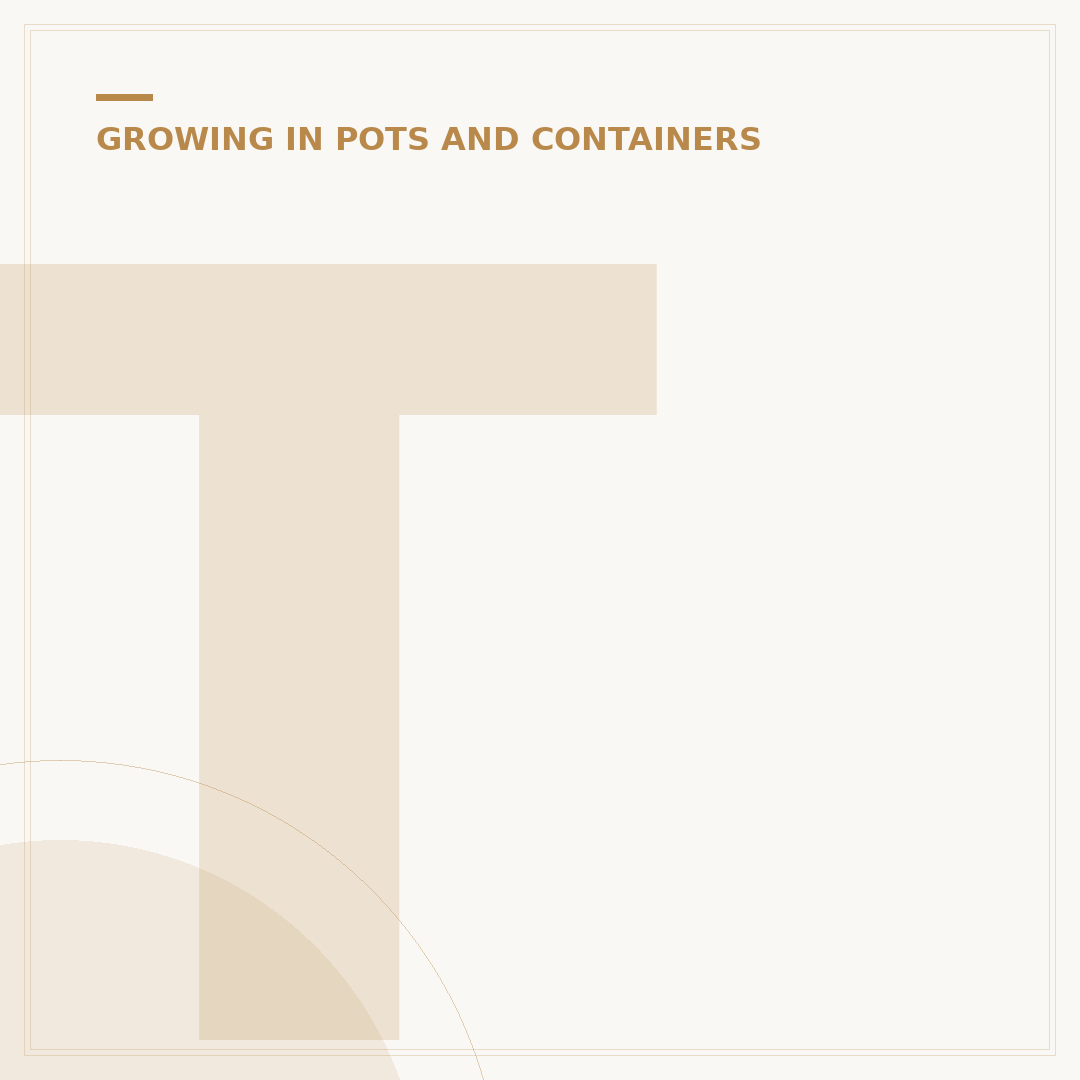 Tall Plants for Screening in Pots: Privacy Solutions