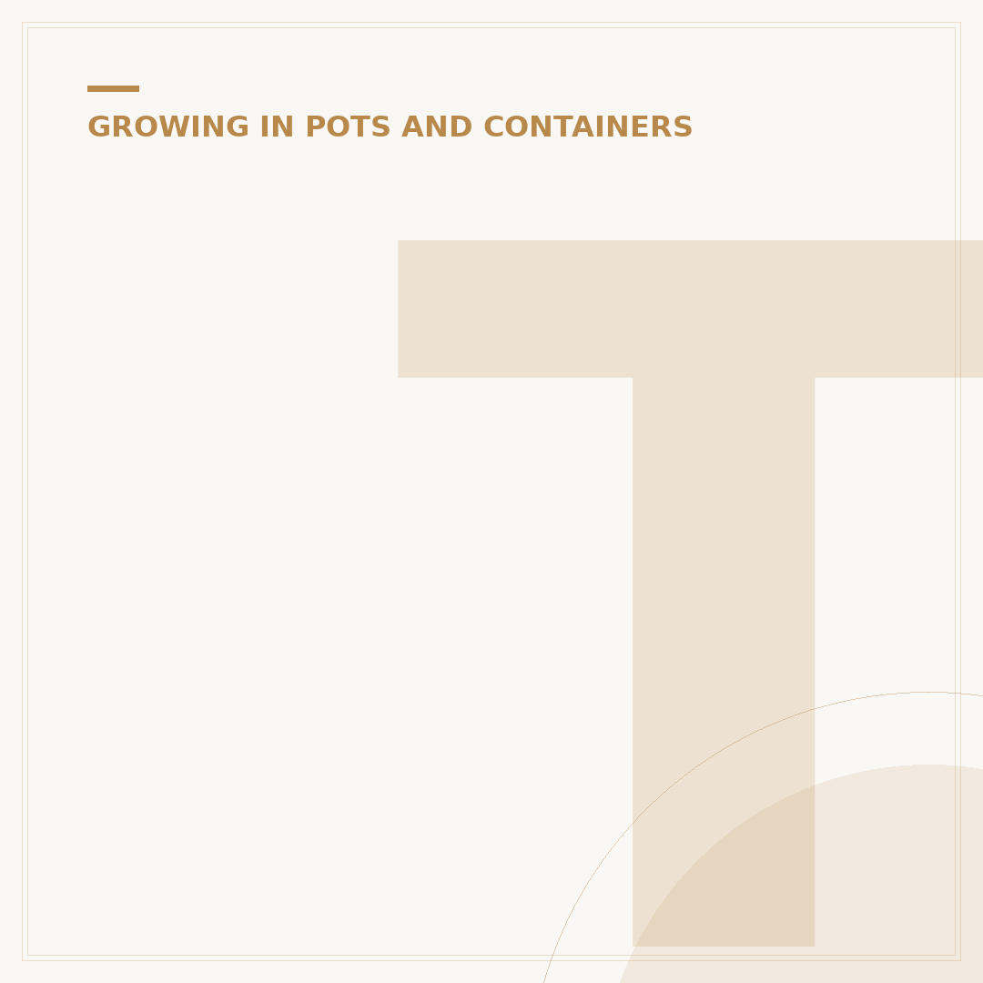 Taller Plants for Containers: Add Height & Drama