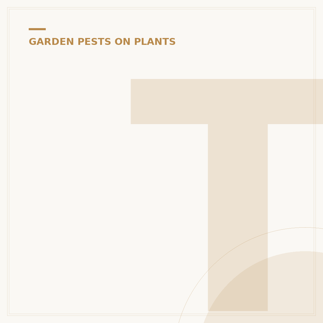 Thrips on Houseplants: Identification, Control & Prevention