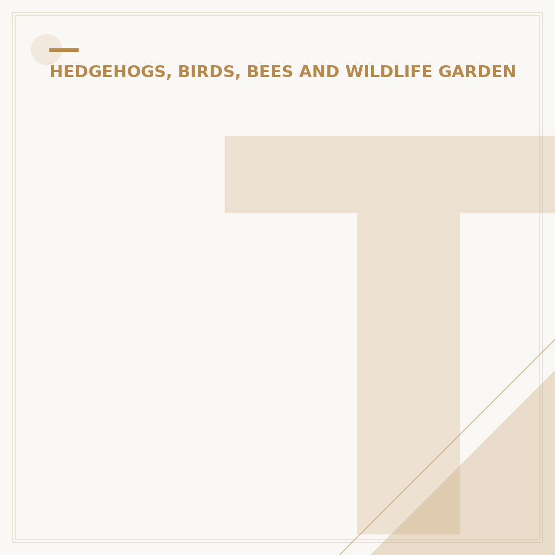 Ticks on Hedgehogs: Identification and Removal