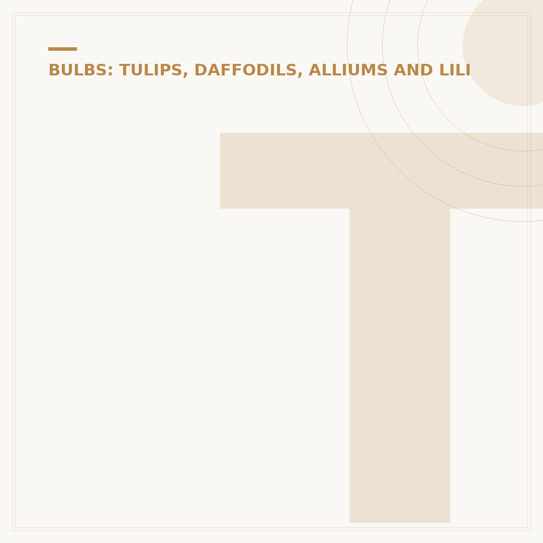 Tip Through The Tulips: Understanding This Unique Concept