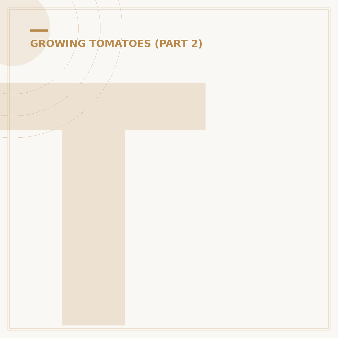 Tomato as Fertilizer