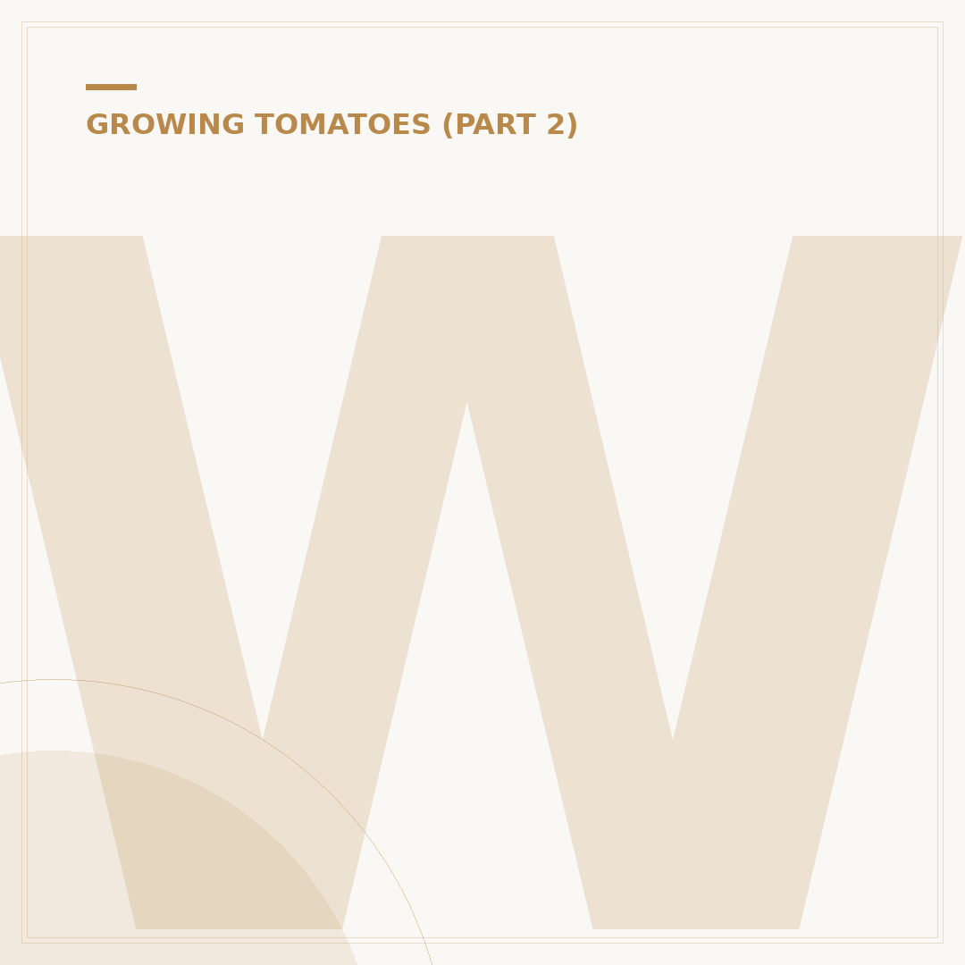 What Does Tomato Blight Look Like? Identify Signs Early