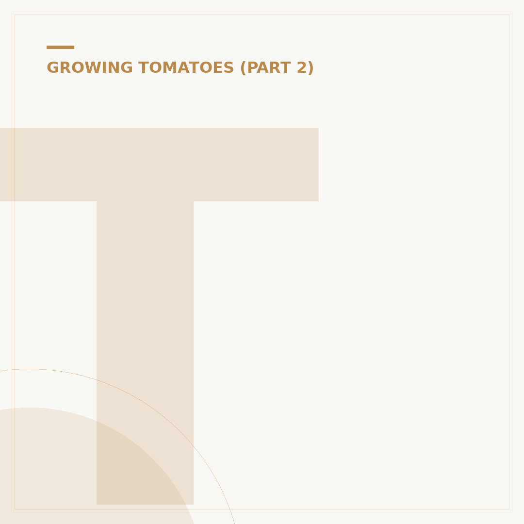 Tomato Blossom End Rot Treatment & Prevention