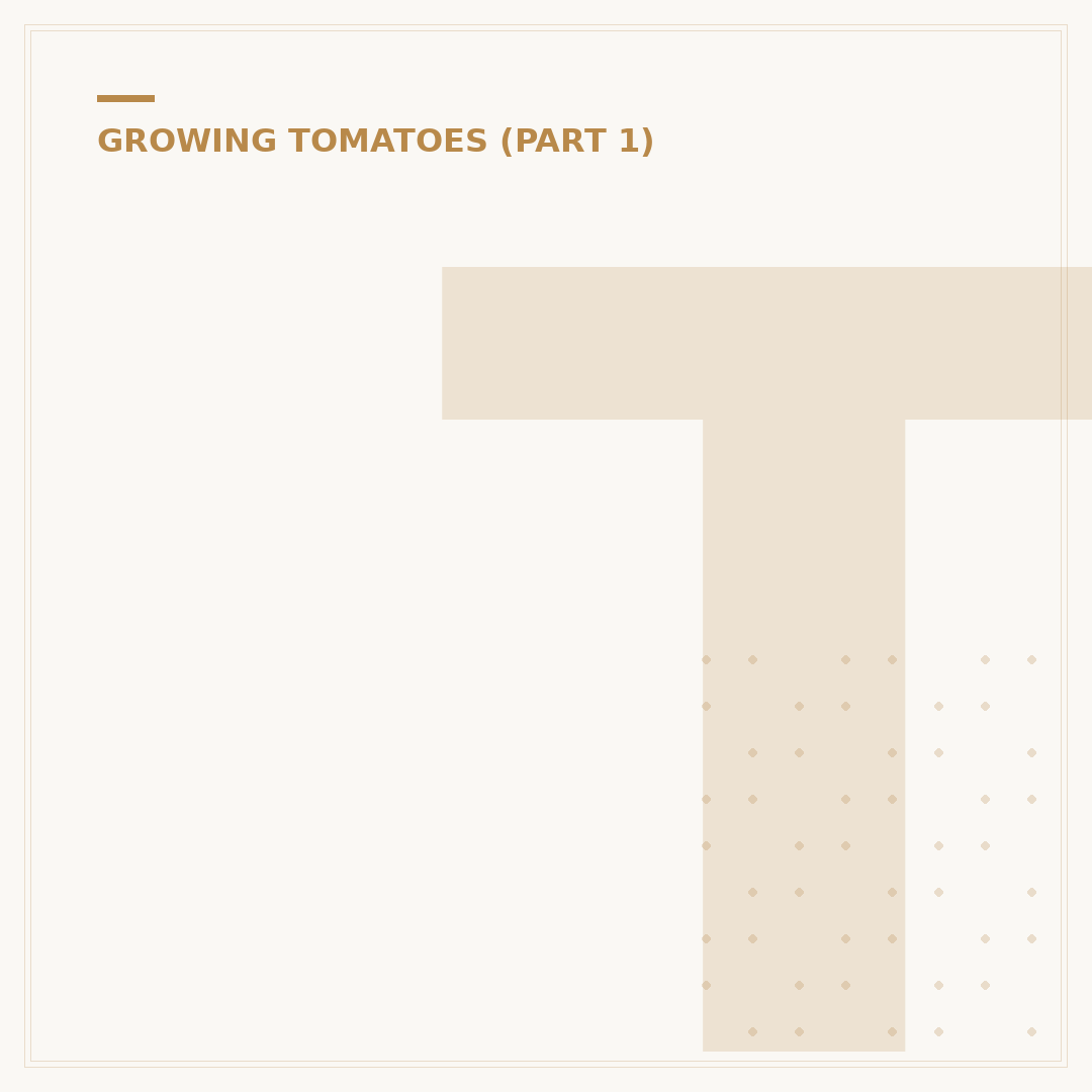 Tomato Feed: What It Is and How to Choose