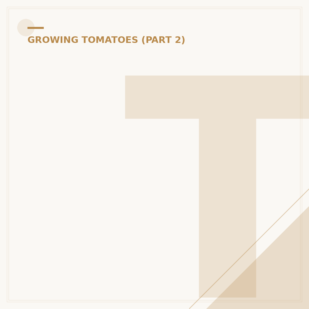 Tomato Leaves Curling Up: Causes and Solutions