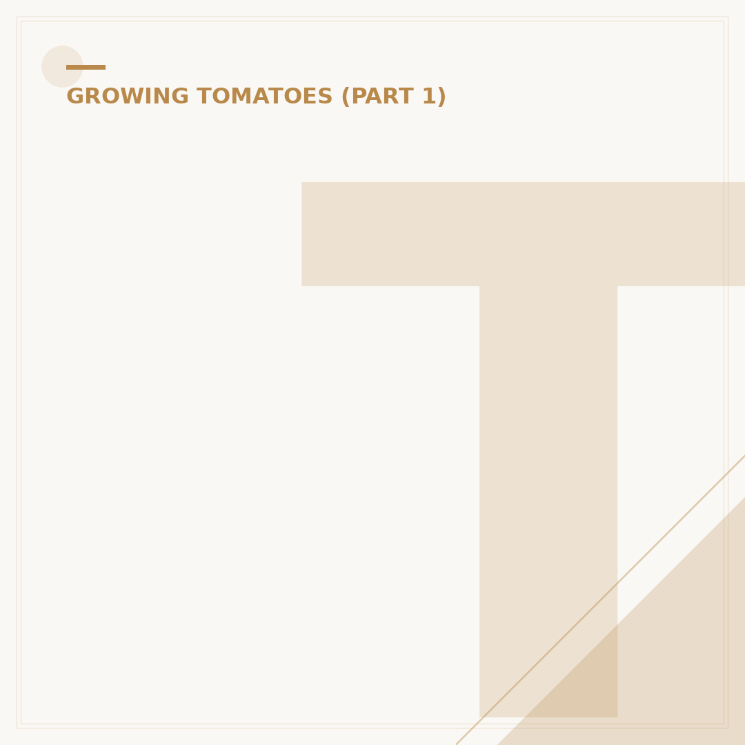Tomato Plant Blooms: Understanding Flowering