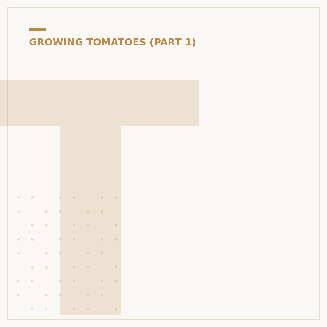 Tomato Plant Greenhouse