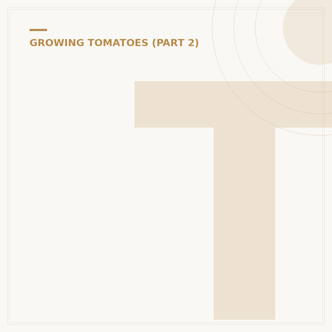 Tomato Plant Not Flowering: Common Causes and Solutions