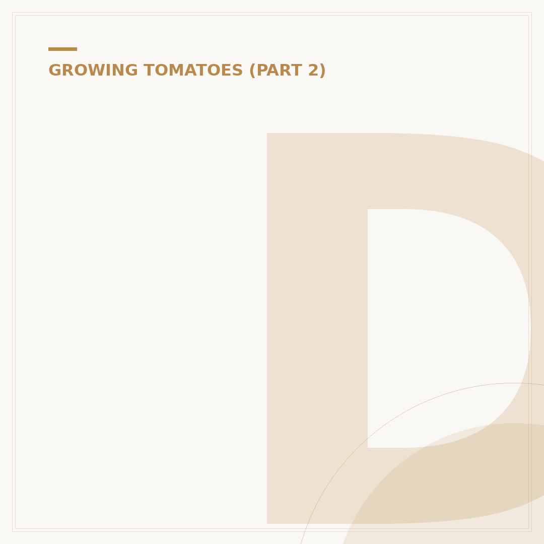 Do Tomato Plants Come Back Every Year?