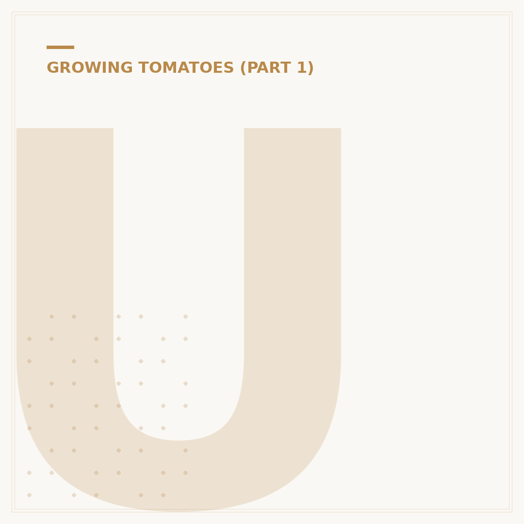 Understanding Tomato Plants: Varieties and Growing Basics