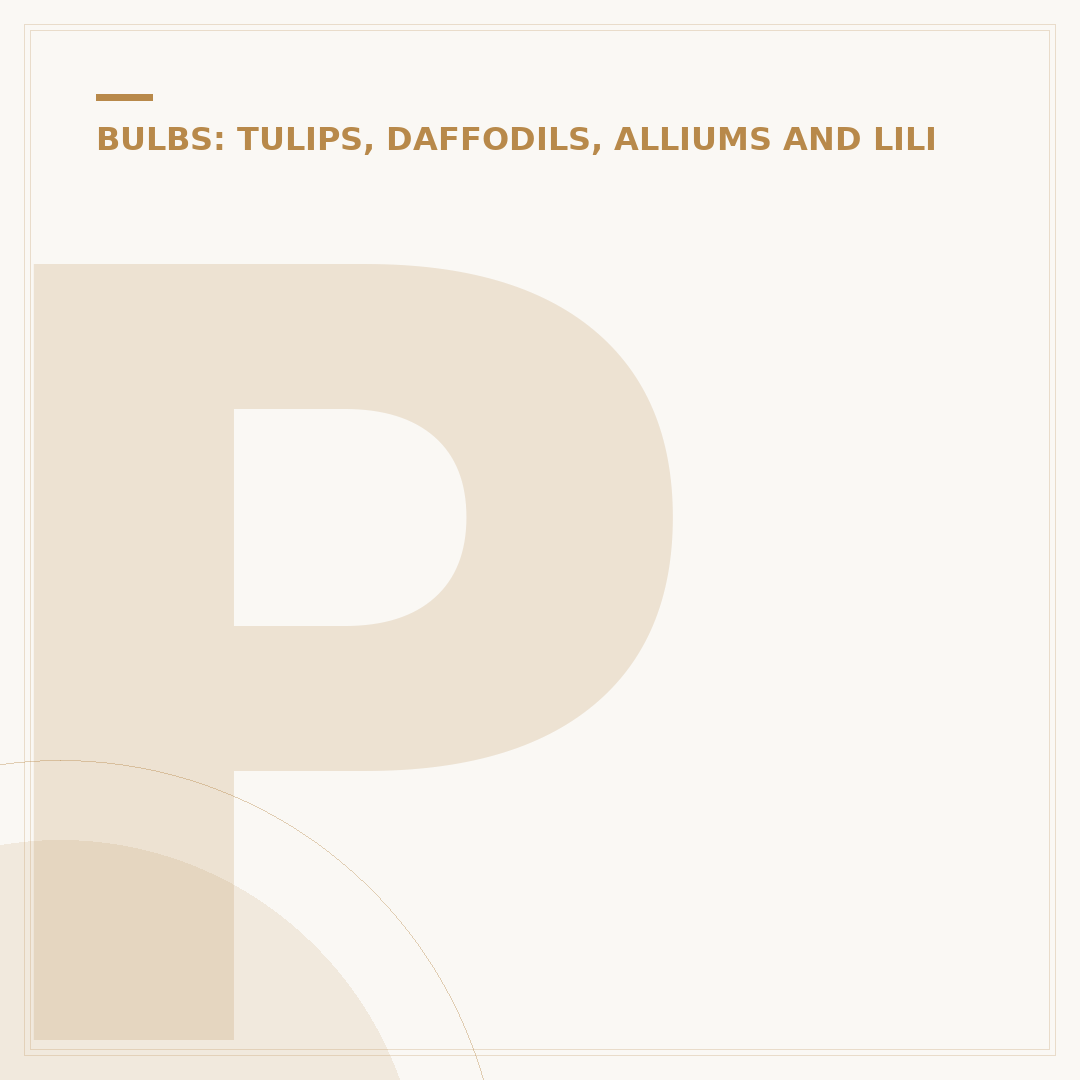 Planting Bulb Tools: Types and Uses