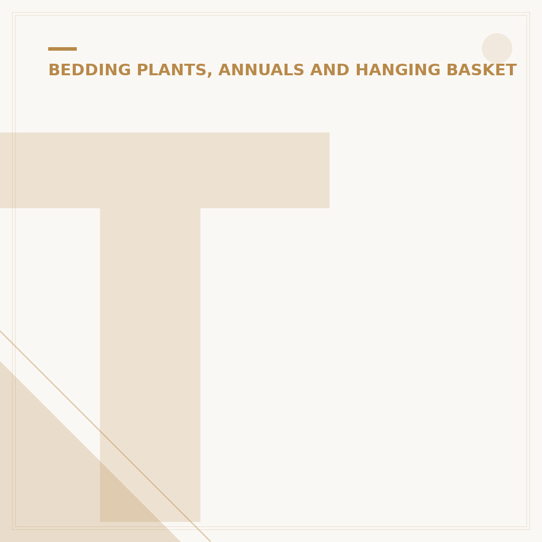 Trailing Begonias: Care and Alternative Options