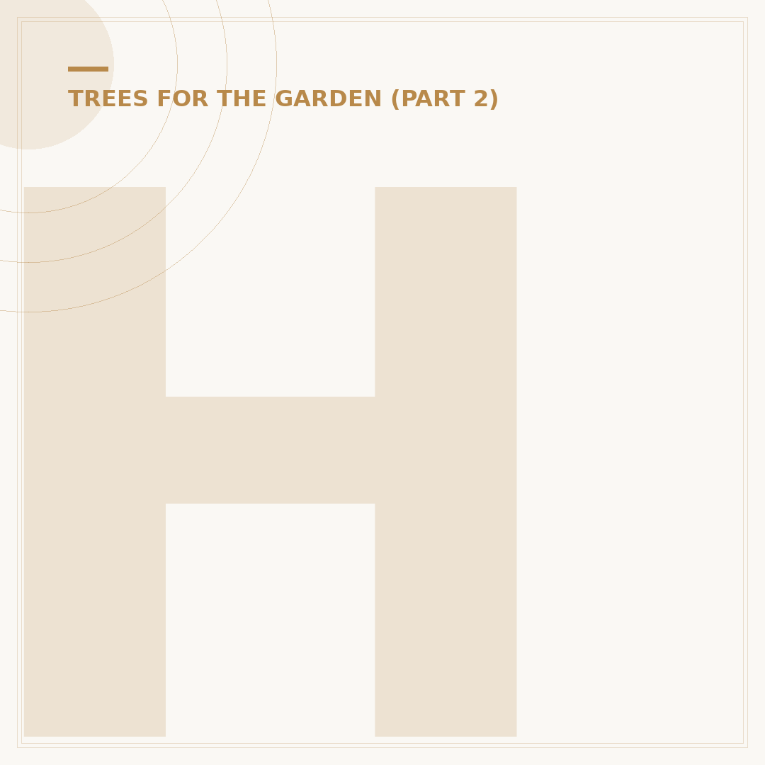 How to Get a Tree Preservation Order: Protect Your Trees
