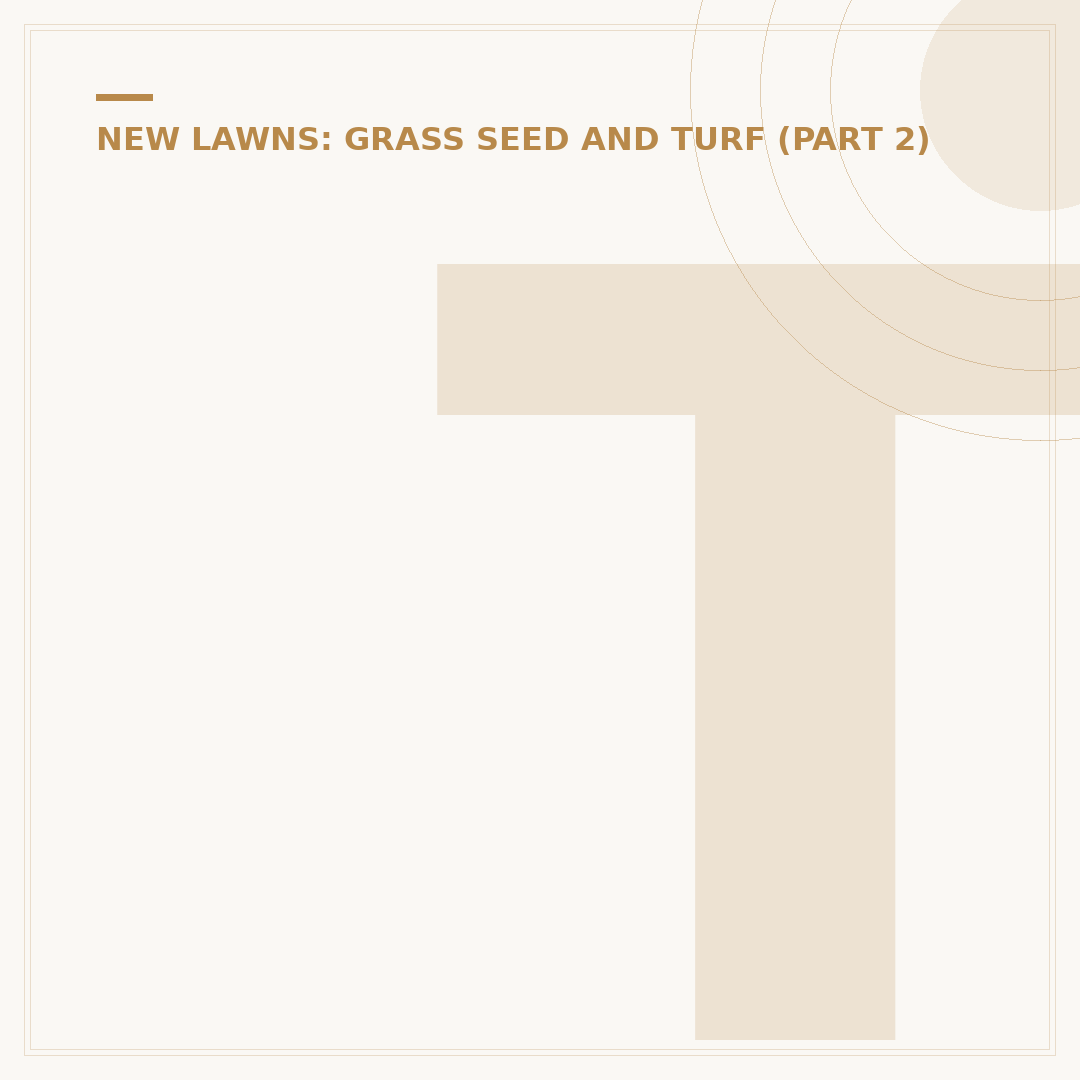 Turf Grass Fertilizer: Feed Your Lawn for Lush Growth