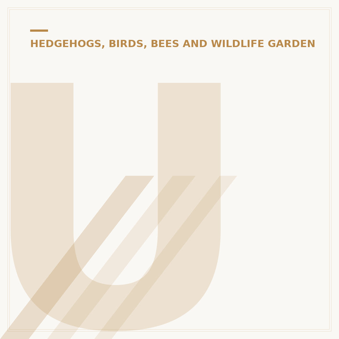 Understanding Underground Bee Nests in Your Garden