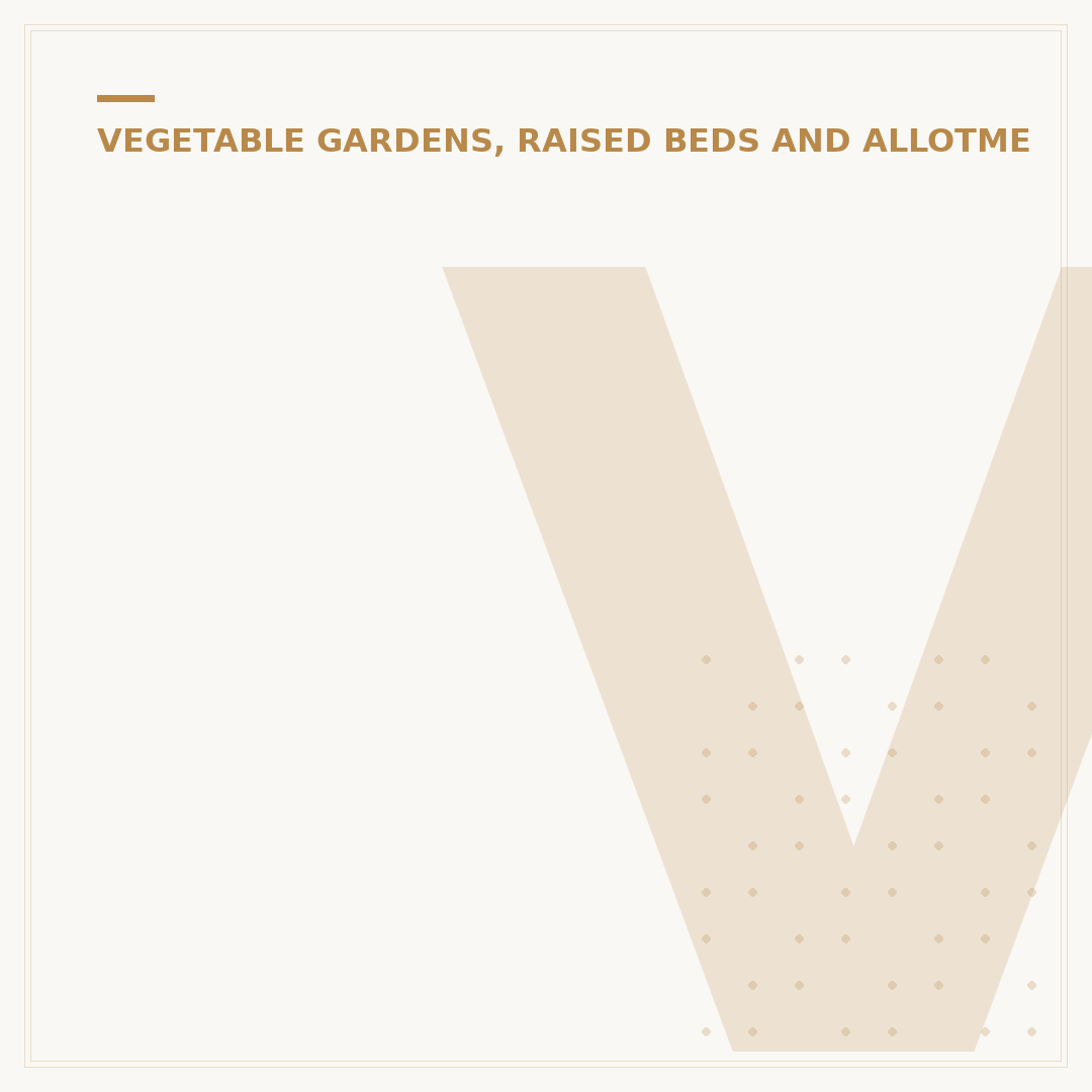 Veg Garden Ideas for Home Plots