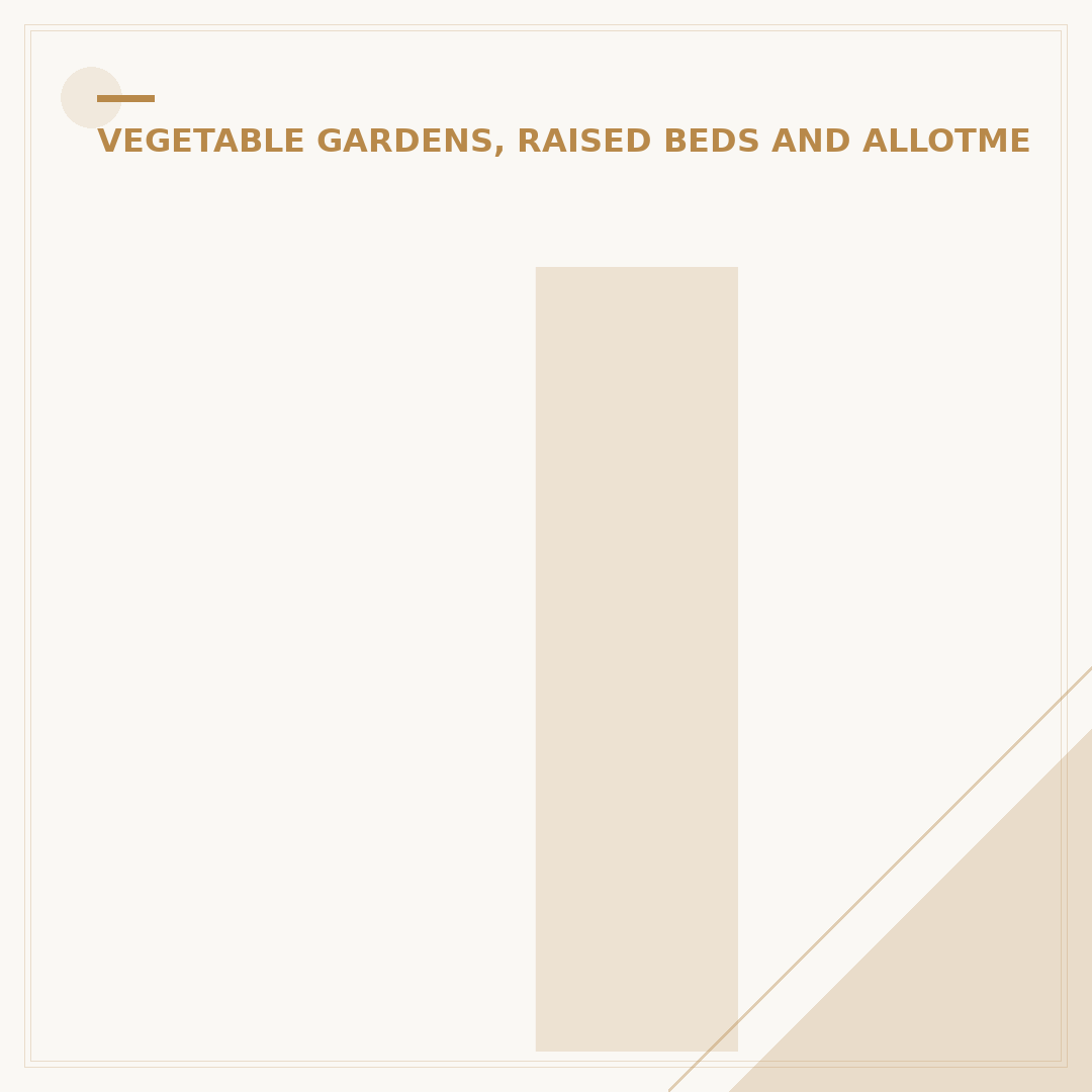 Inspiring Veg Patch Ideas for Productive Home Gardens
