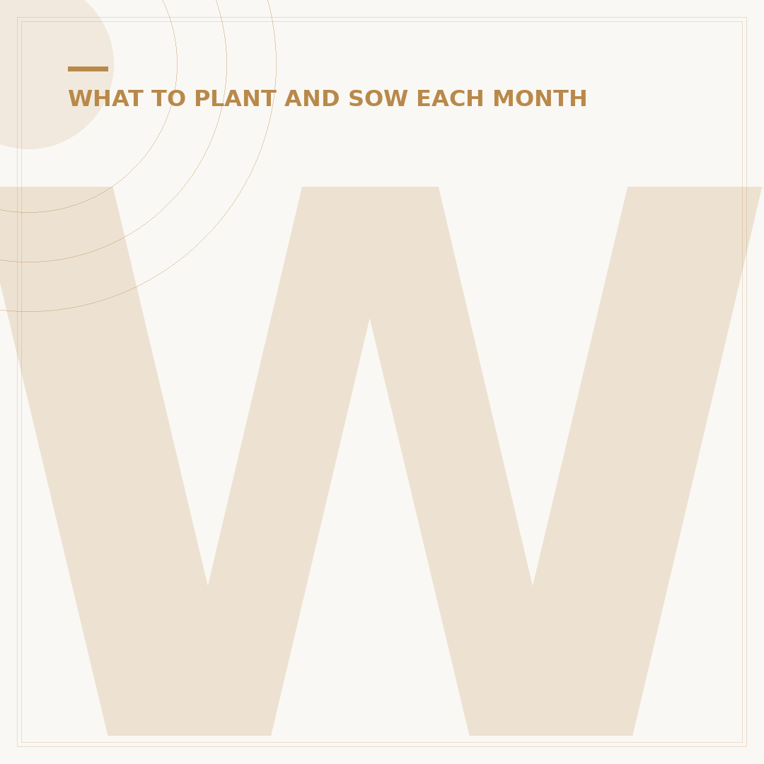 What Veg to Plant in March UK Gardens