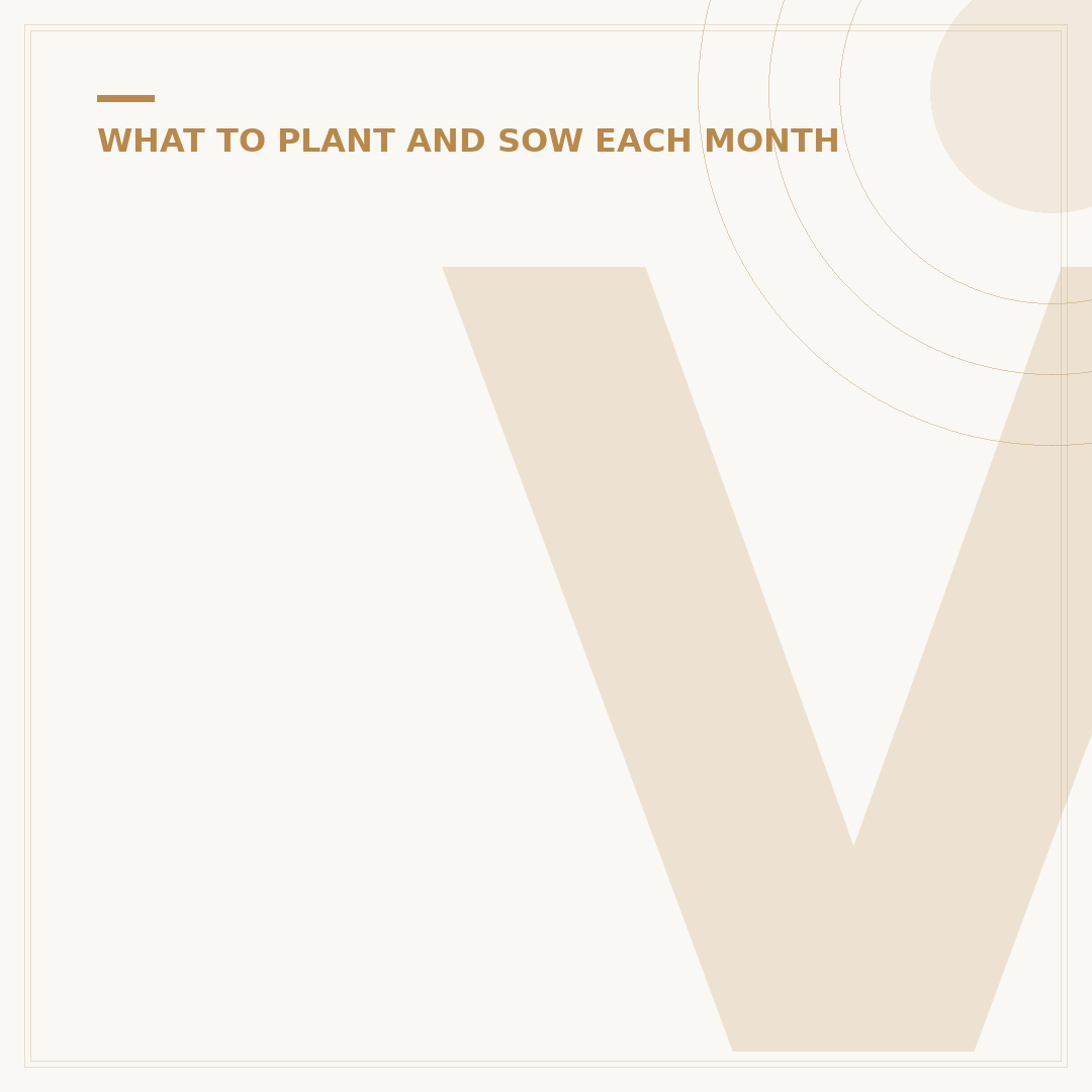 Veg to Sow in August for Autumn Harvest