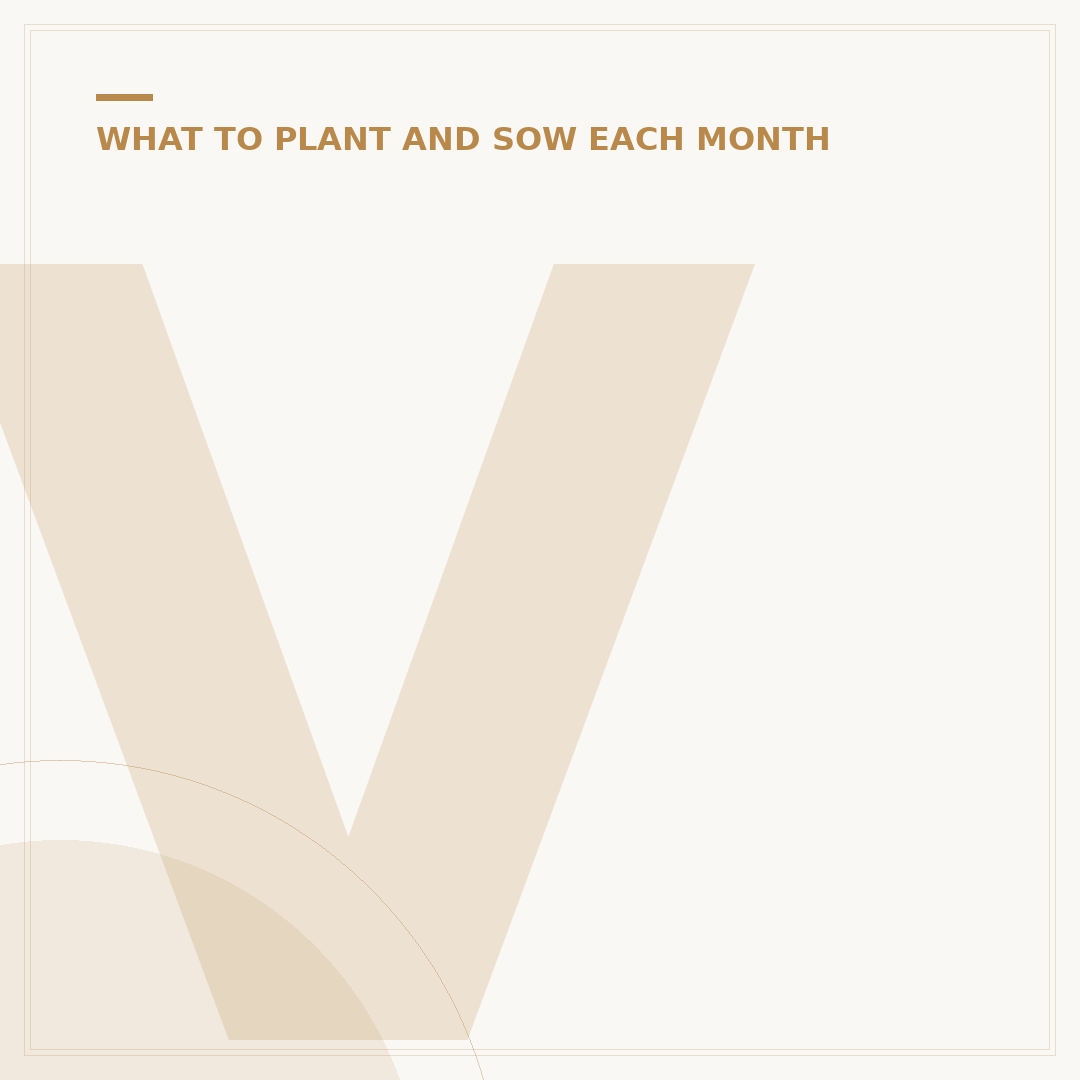 Veg to Plant in June