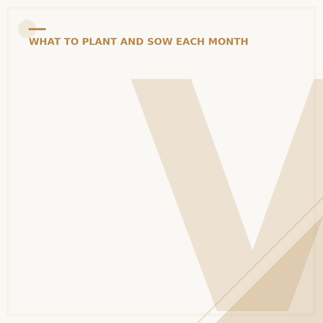 Veges to Plant in Autumn