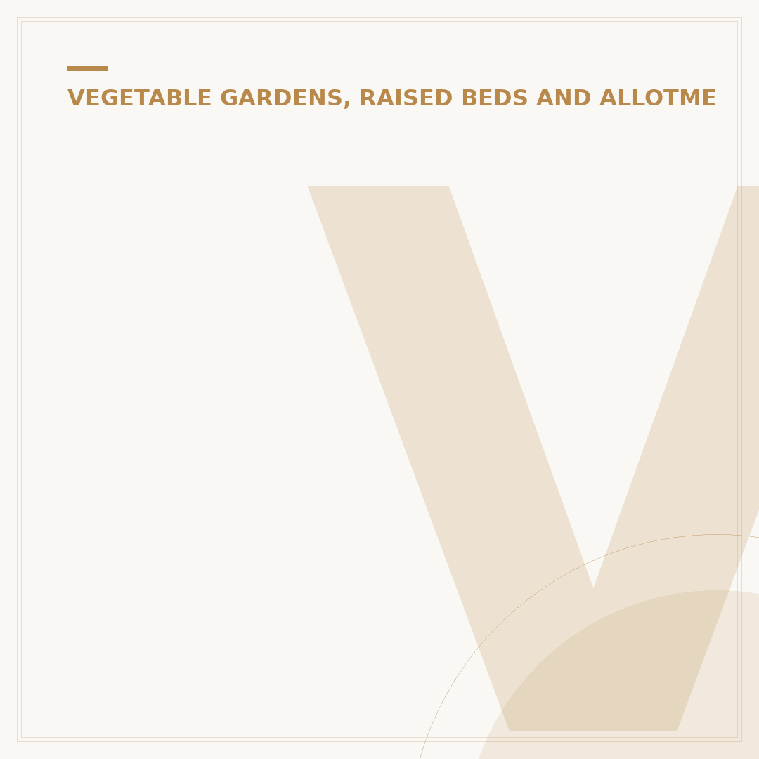Vegetable Companion Planting: Grow More Together