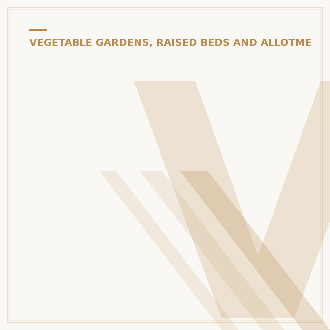 Vegetable Garden Ideas