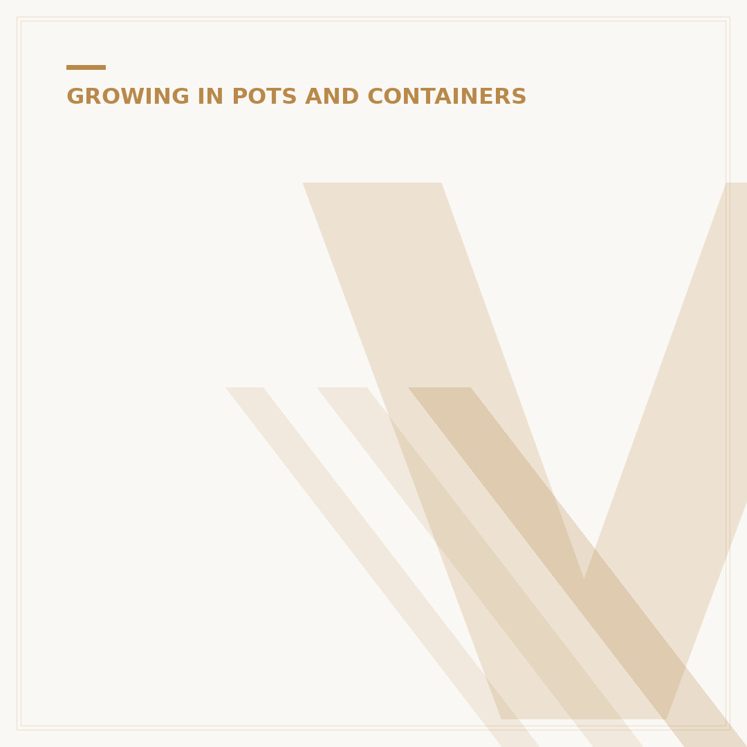 Vegetable Plants for Containers: Grow Your Own Food