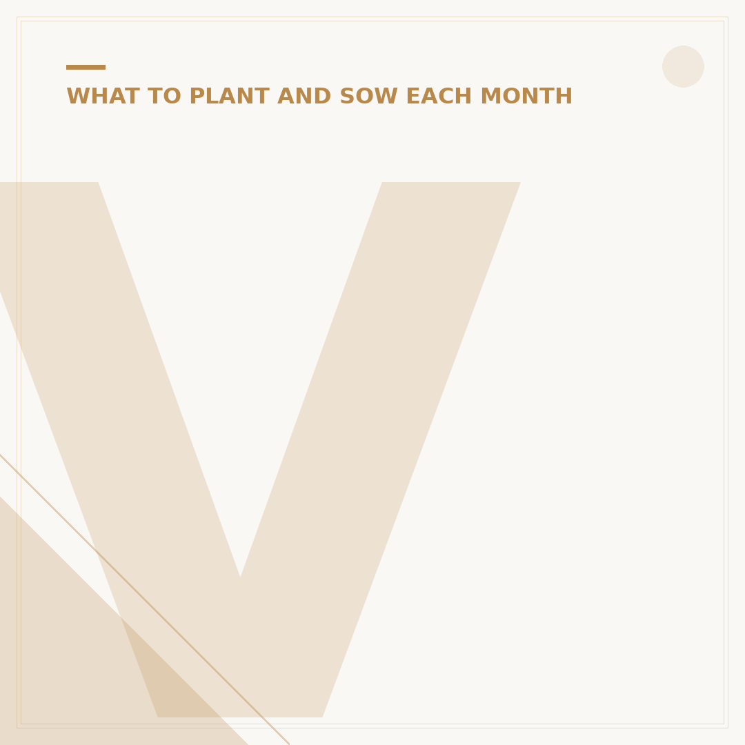 Vegetable Seeds to Plant Now