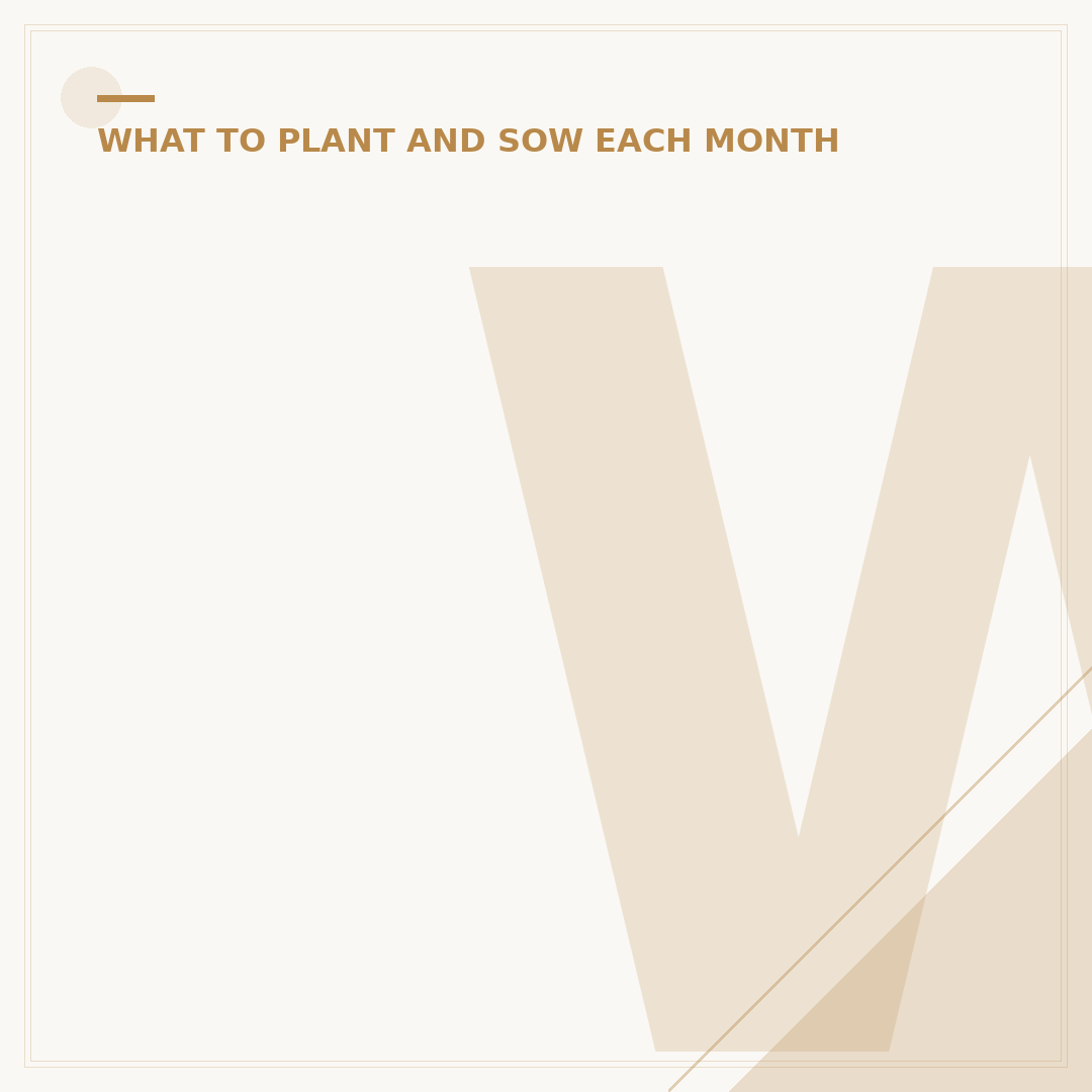What Vegetables to Plant in March: Early Garden Success