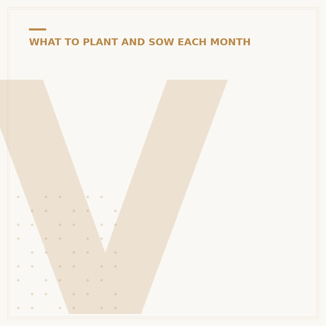 Vegetables Plant in Winter: What to Sow for Early Harvest