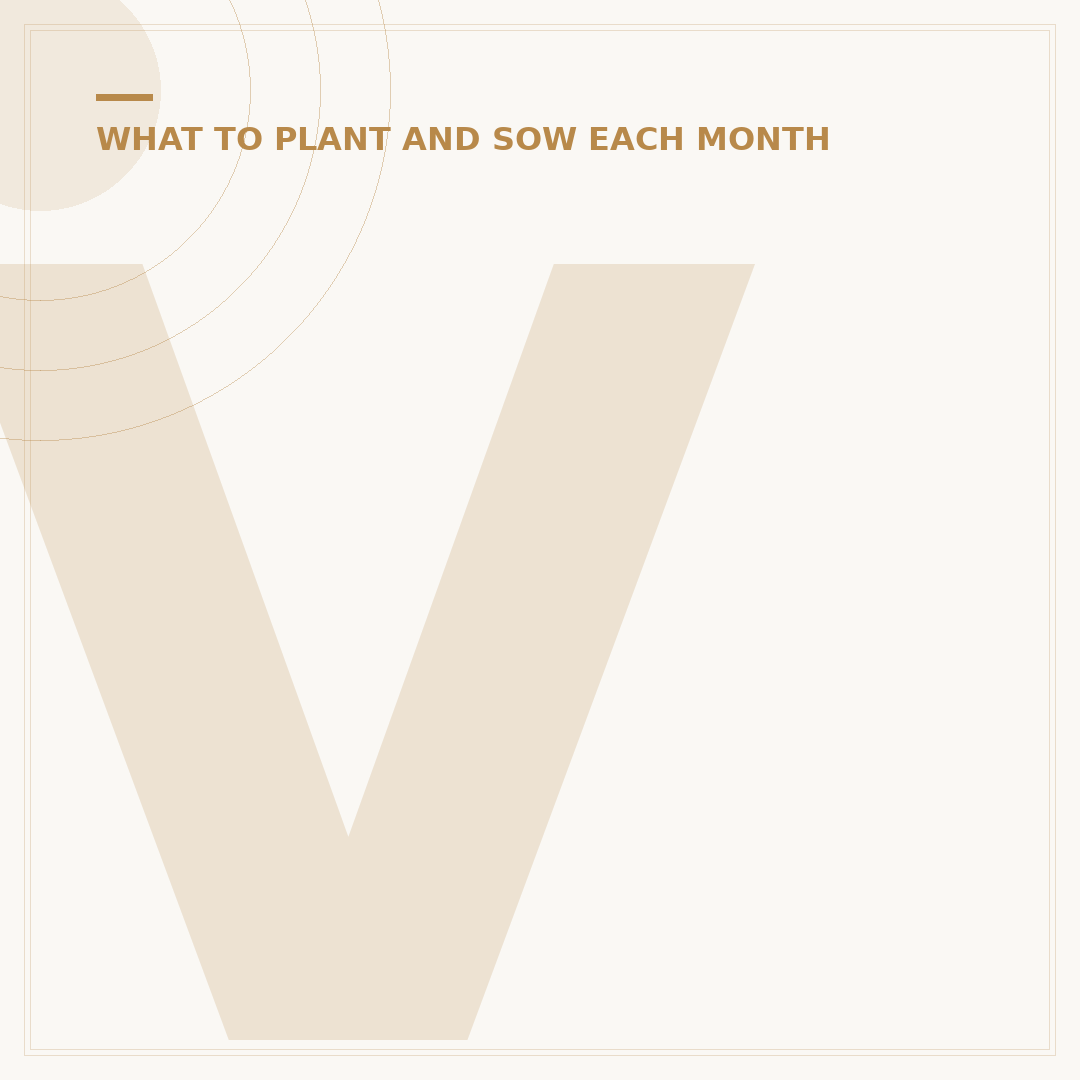 Veggies to Plant in Autumn for a Winter Harvest
