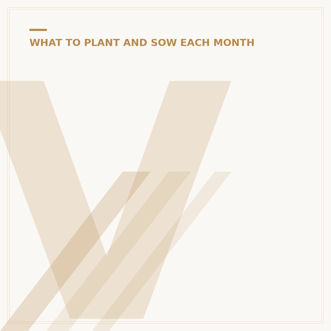 Veggies to Plant in March for a Bountiful Harvest