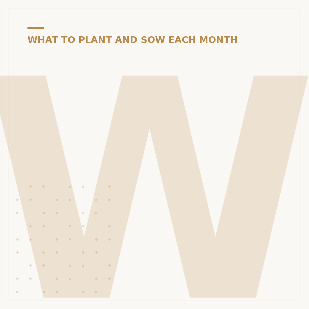 Winter Veggies: What to Plant Now