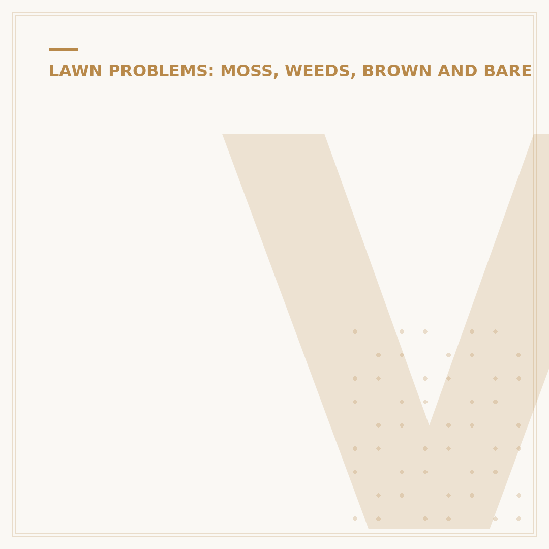 Verdone Lawn Weed Killer: Effective Lawn Care Solutions