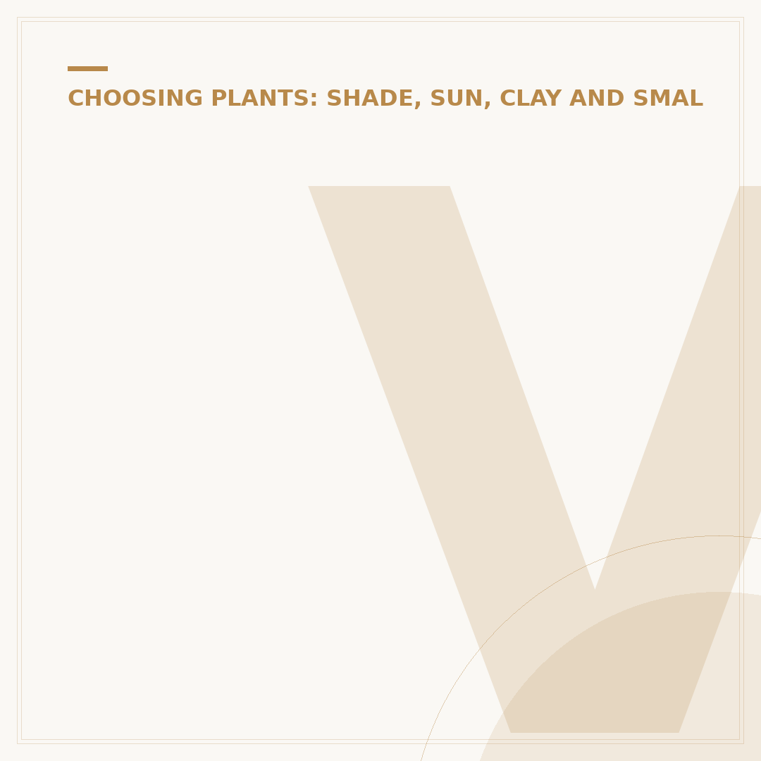 Vinca Periwinkle Ground Cover: Uses & Alternatives