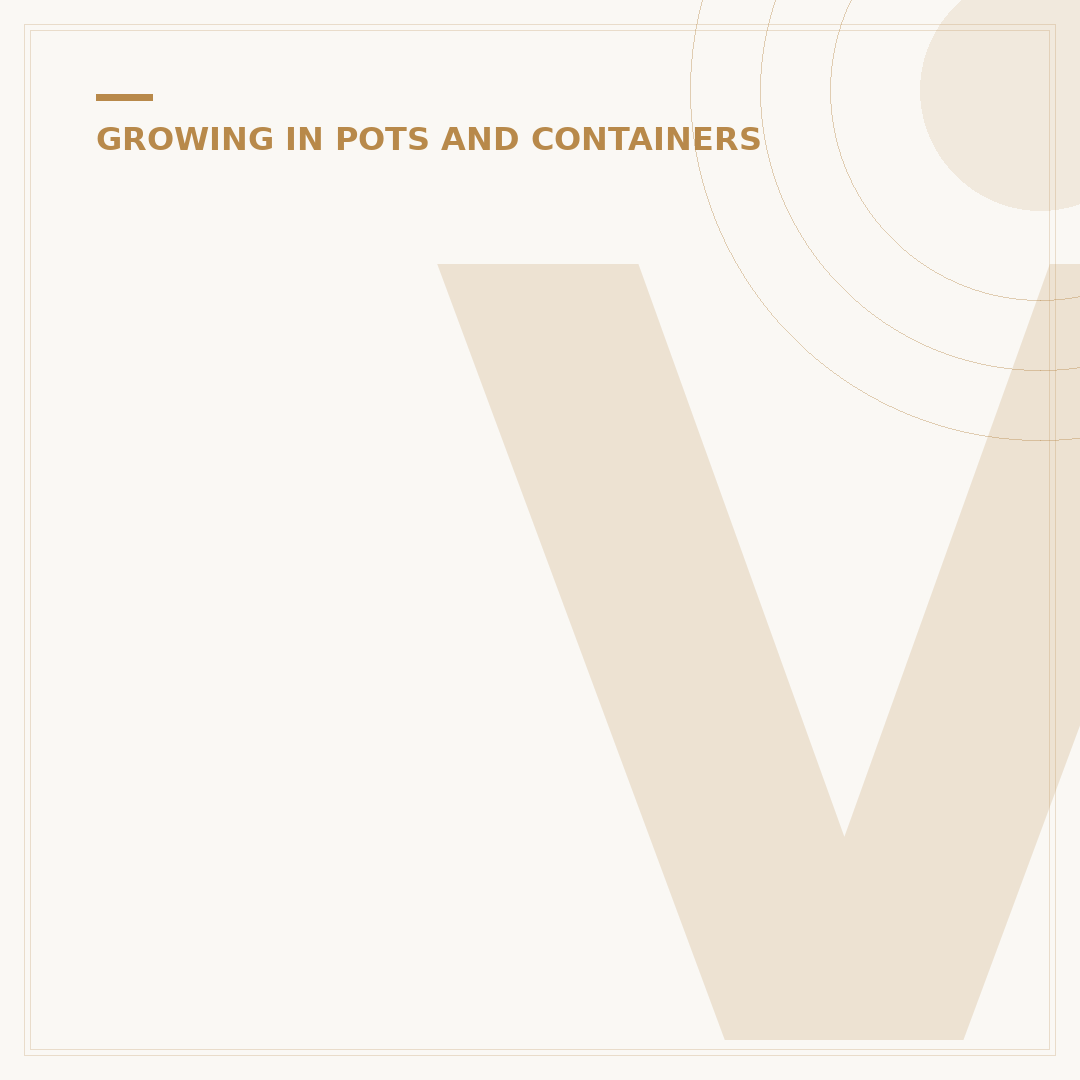 Vining Plants for Pots: Trailing Beauties for Containers