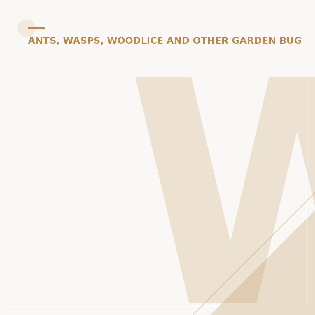 Wasps Nest Removal: Methods and Prevention