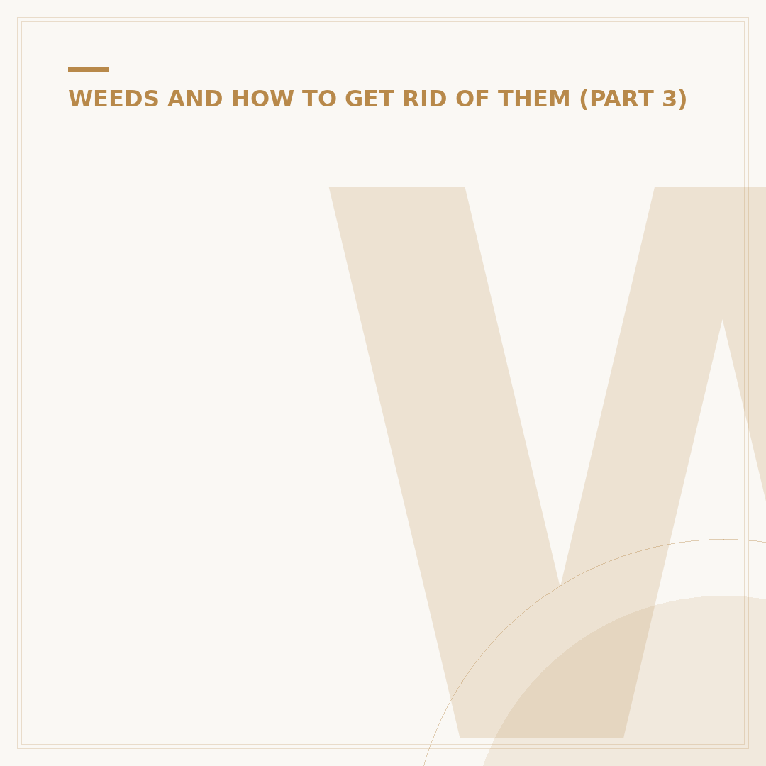 Weeds With Small Yellow Flowers: Identification & Control