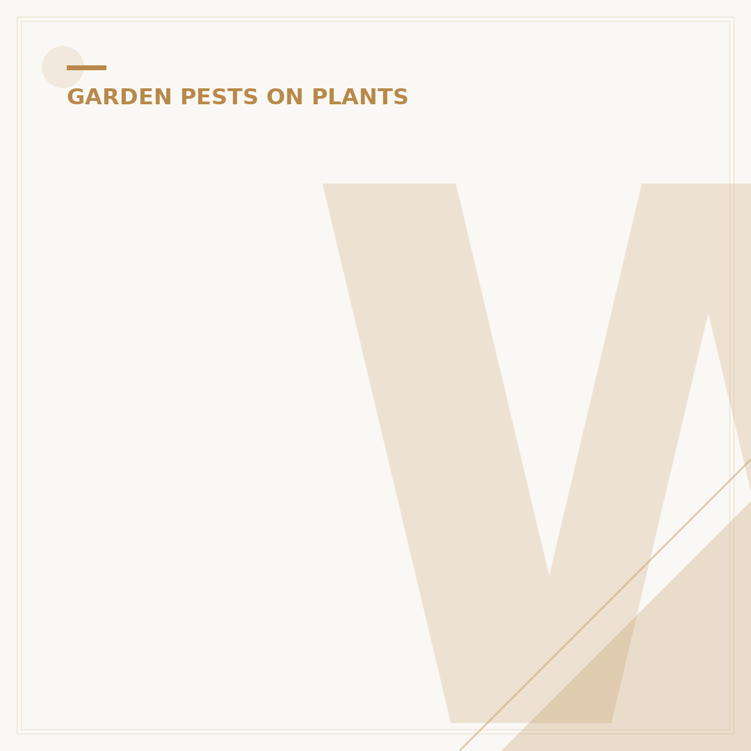Western Flower Thrips: Identification and Control Options