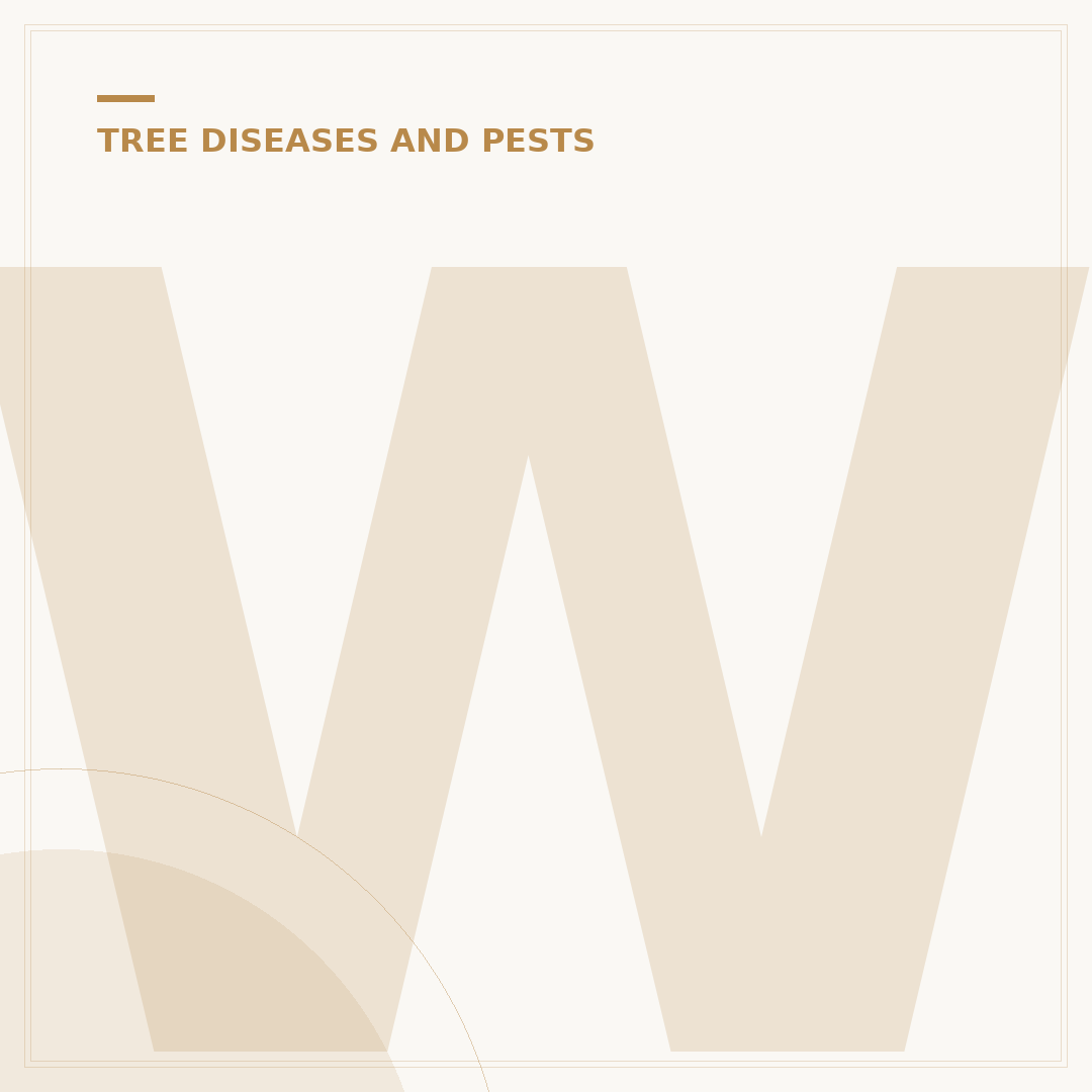 What Ash Dieback Looks Like and How to Identify It