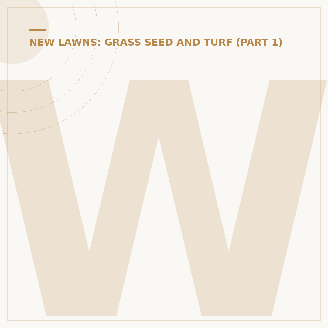 What Does Grass Seed Look Like?